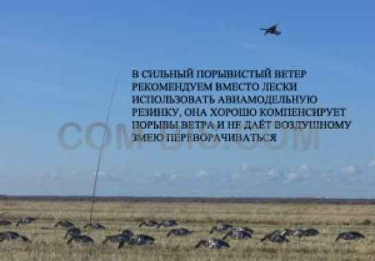 Объёмный парящий воздушный змей 