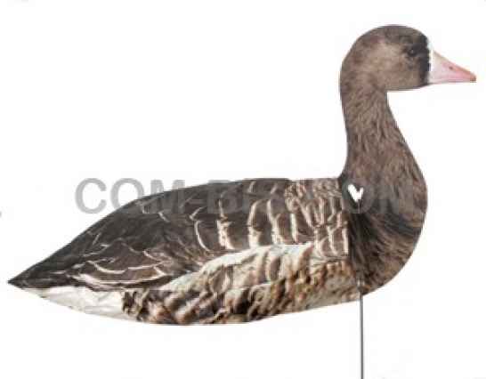 Флюгера белолобого гуся 10 шт.