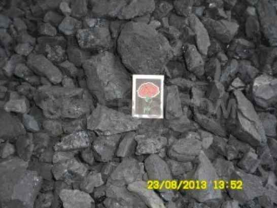 Уголь ДГО (13-100)