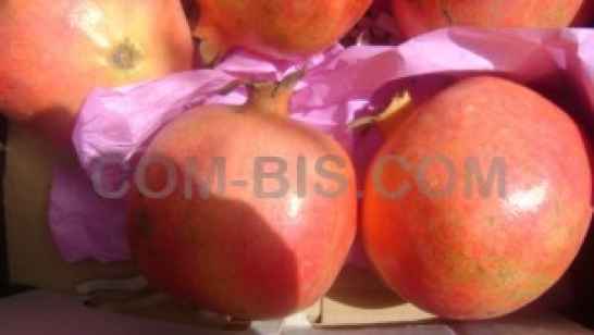 Гранат сорта 