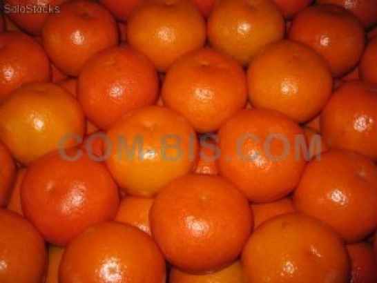 Мандарин Сlementine