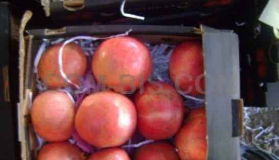 ГРАНАТ свежий,сорт 