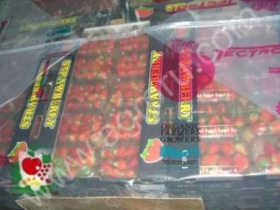 Клубника ,сорт 